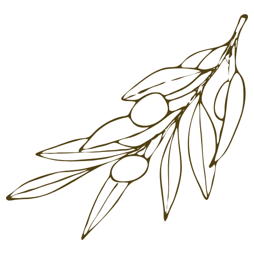 Olive with Leaves